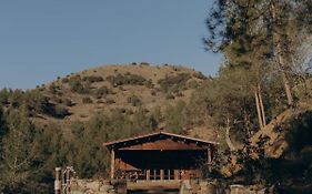 Bosco Paradiso